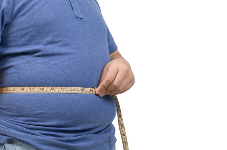 Obesity Screening  Package